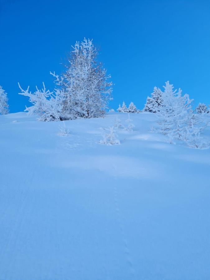 Au Petit Bonheur A Val-Cenis Appartement Sollières-Sardières Buitenkant foto